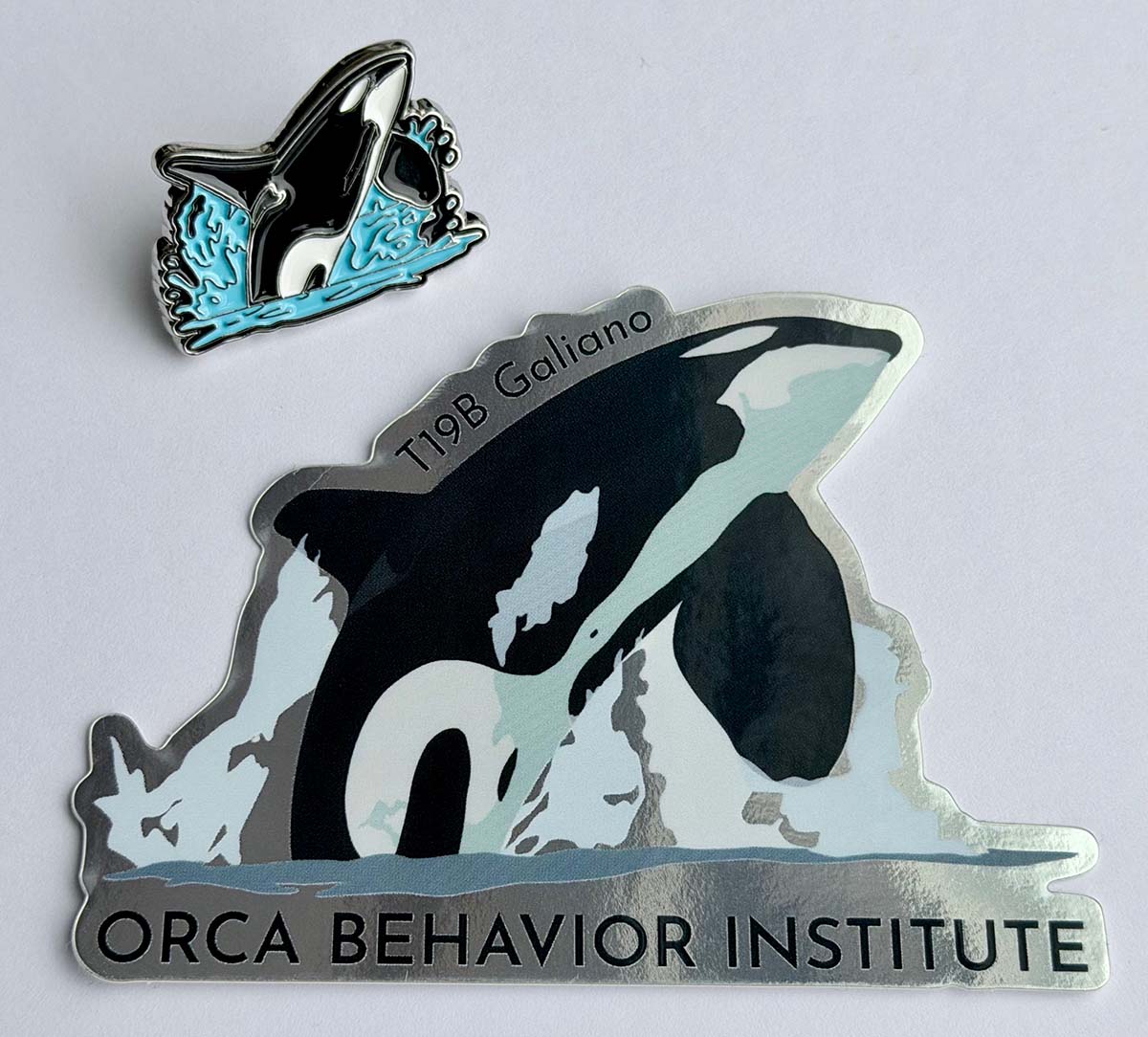 L12 sub-group | Bigg's (Transient) Killer Whales